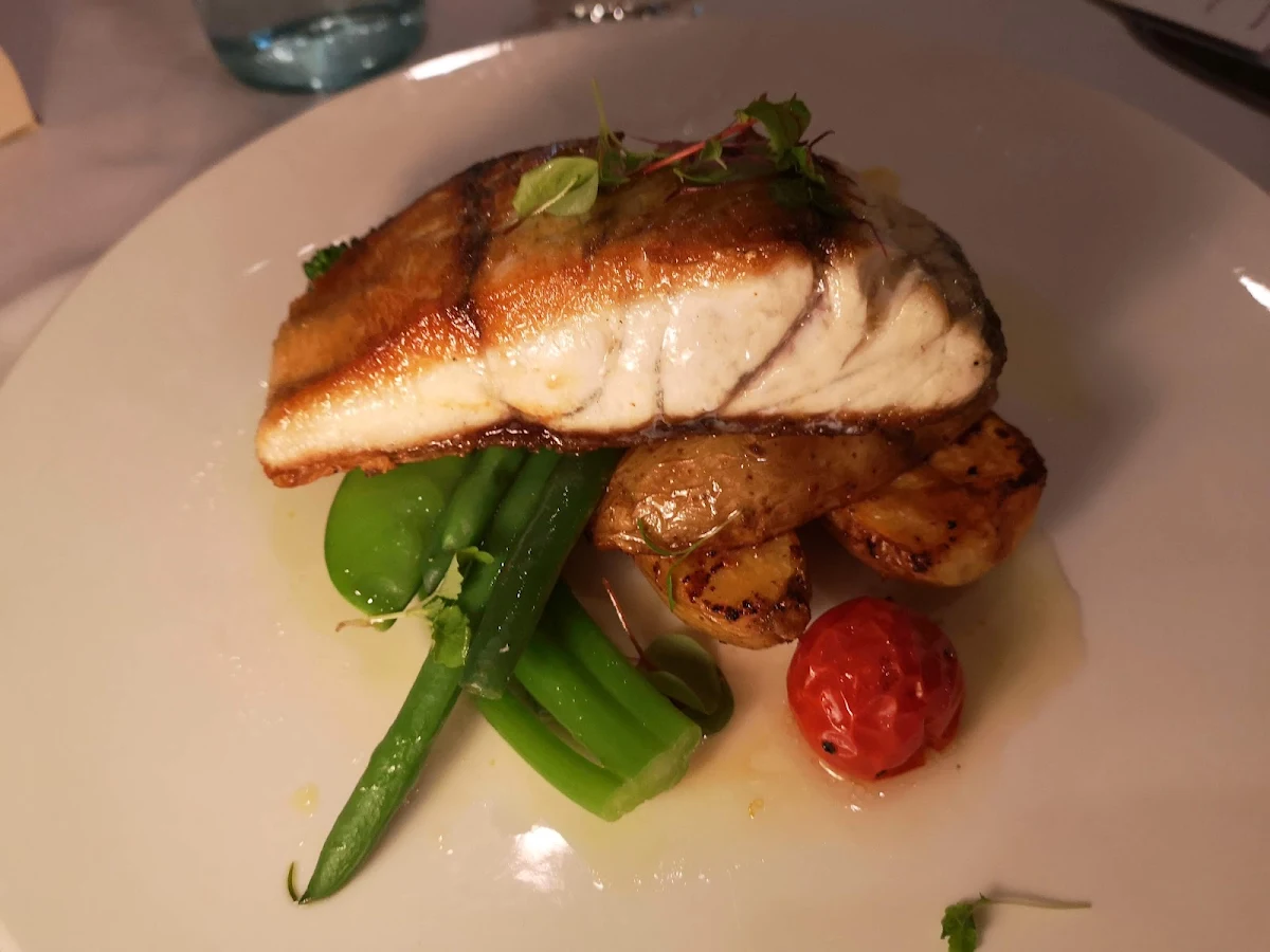 Fish