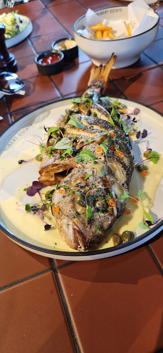 Snapper, Quarters