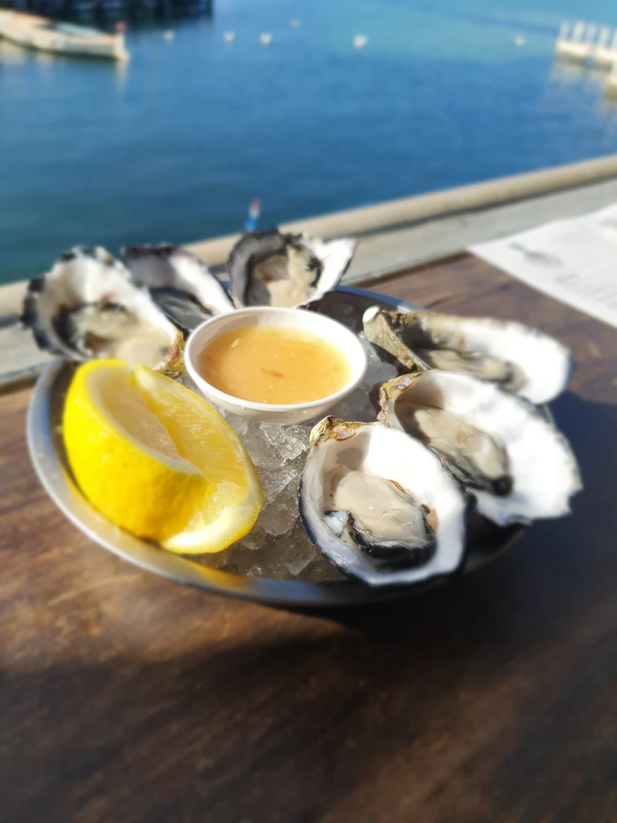 Fresh Oysters
