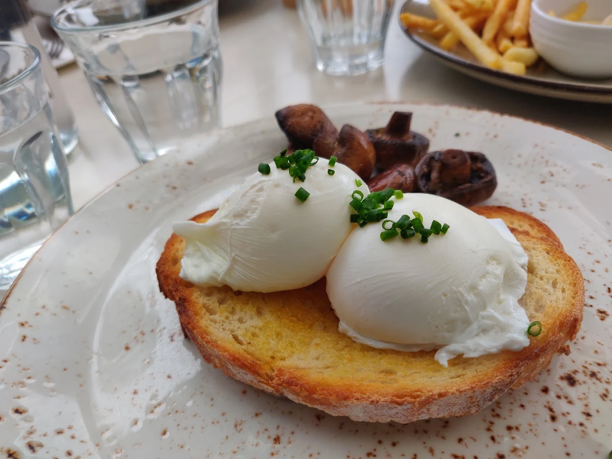 Poached Eggs on Toasts