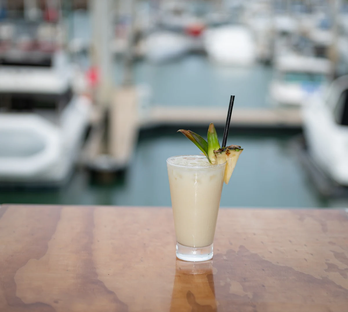 Highlights, Townsville Yacht Club & Marina