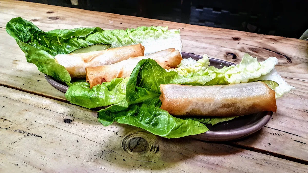 Burger Spring Rolls
