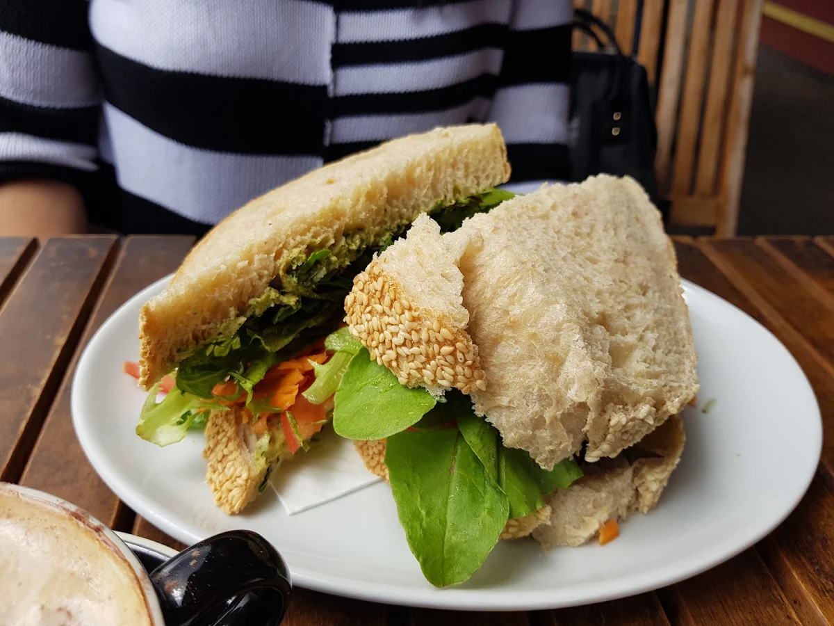 Organic House Made Hummus and Salad Sandwich V G O