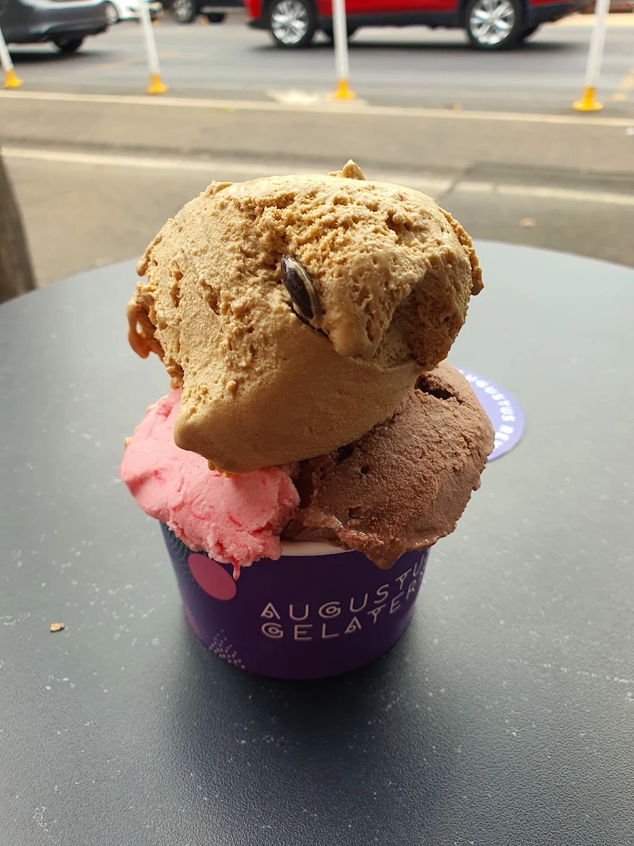 Highlights, Augustus Gelatery + Acai Geelong