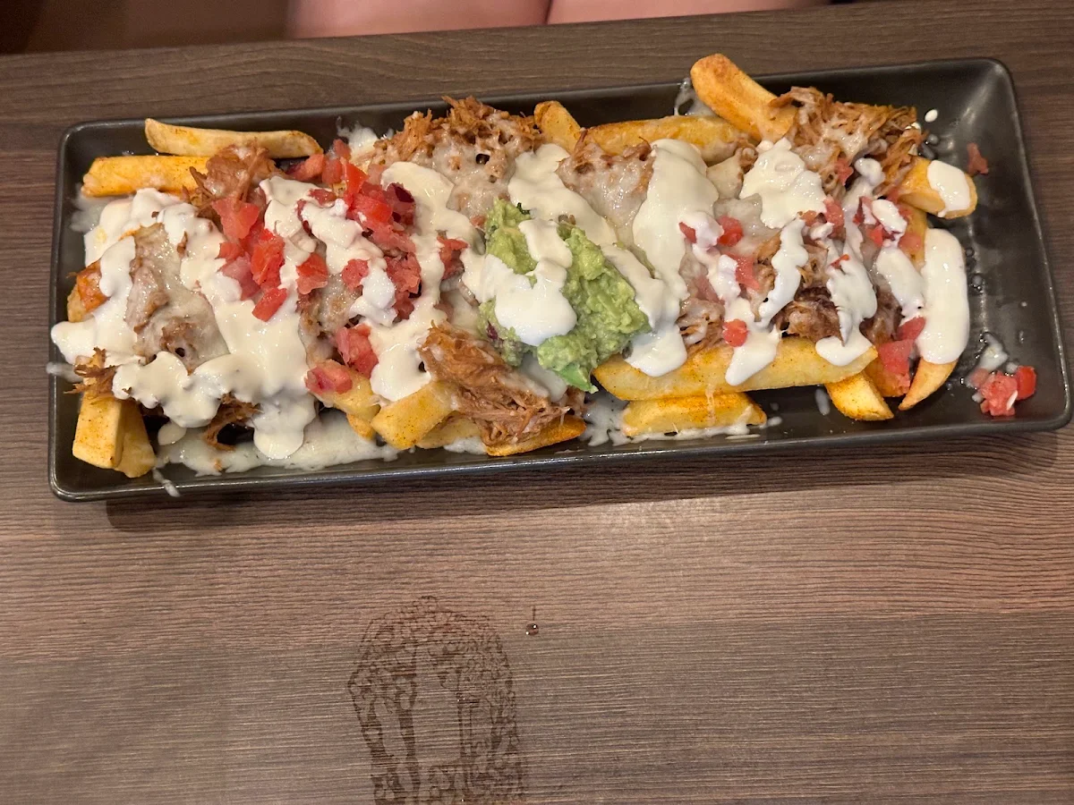Highlights, Burrito Bar Ballina