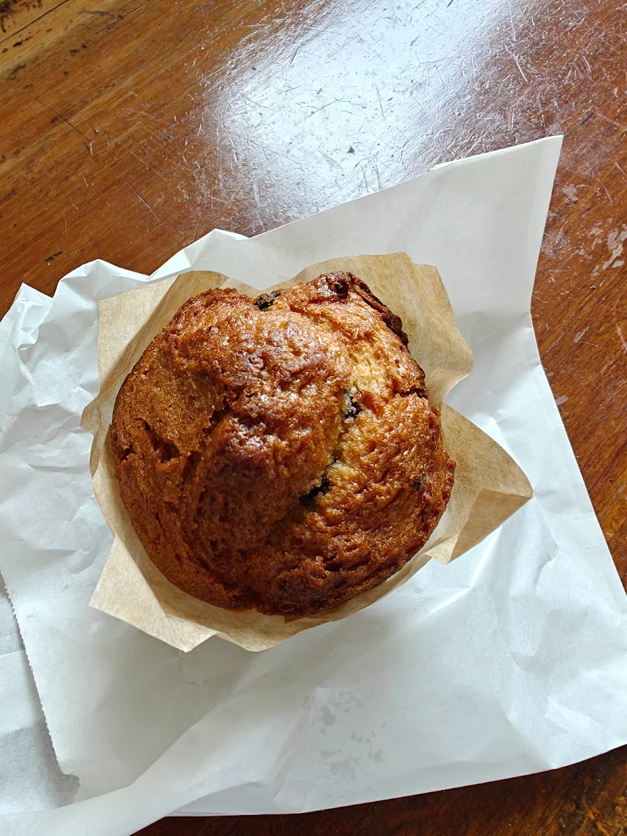 Blueberry Muffin