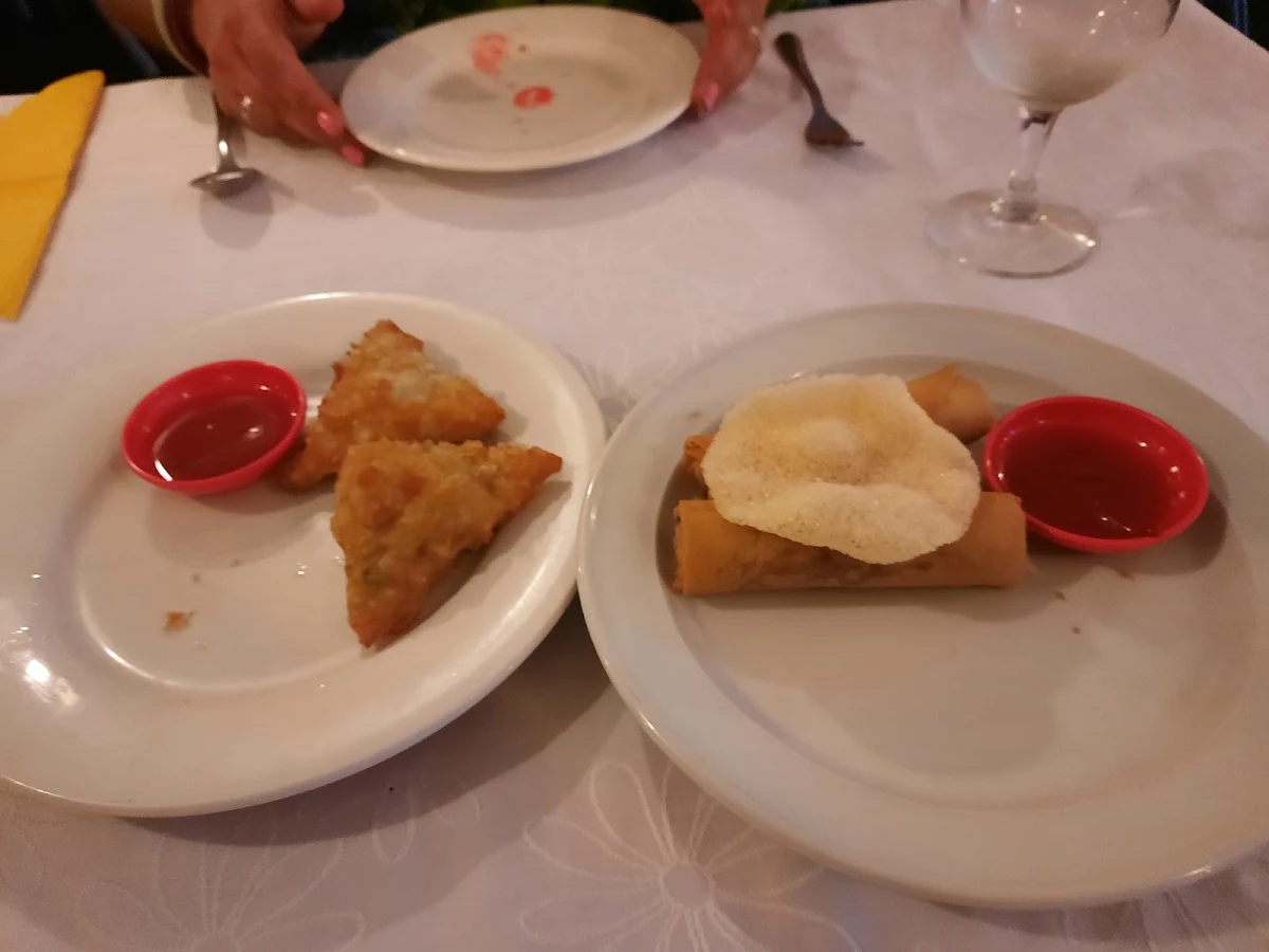 Spring Rolls and Curry Puffs
