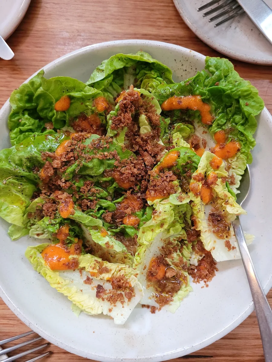Gem Lettuce, Sonny