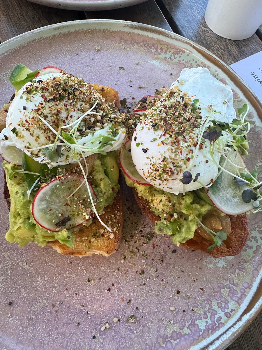 Avocado Toast with Haloumi