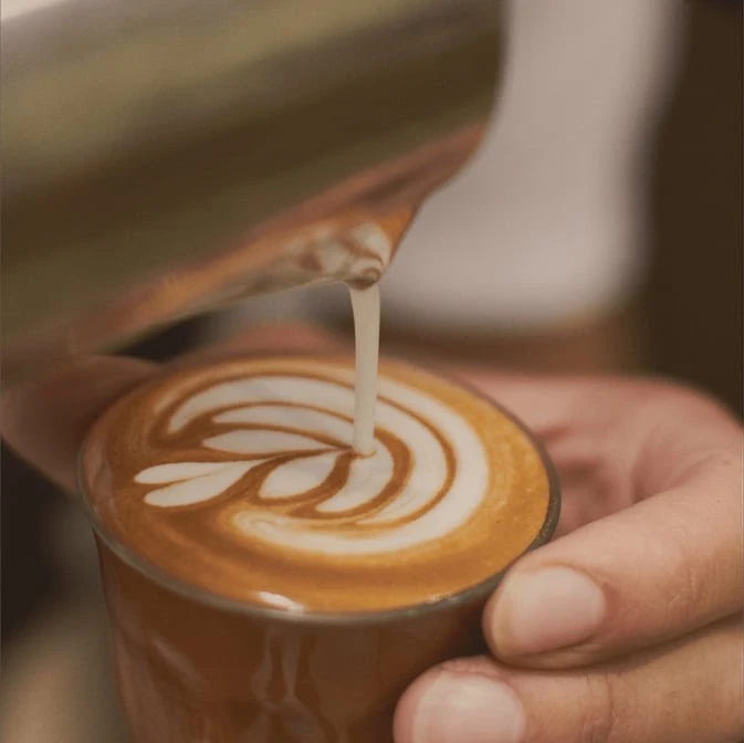 Highlights, Twisted Sista Cafe & Gelateria - Casey Central