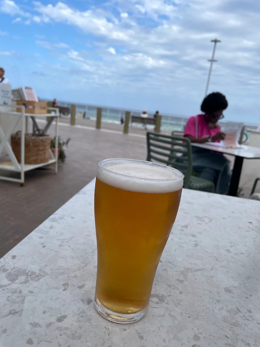 Beer, Surfish Bondi Beach