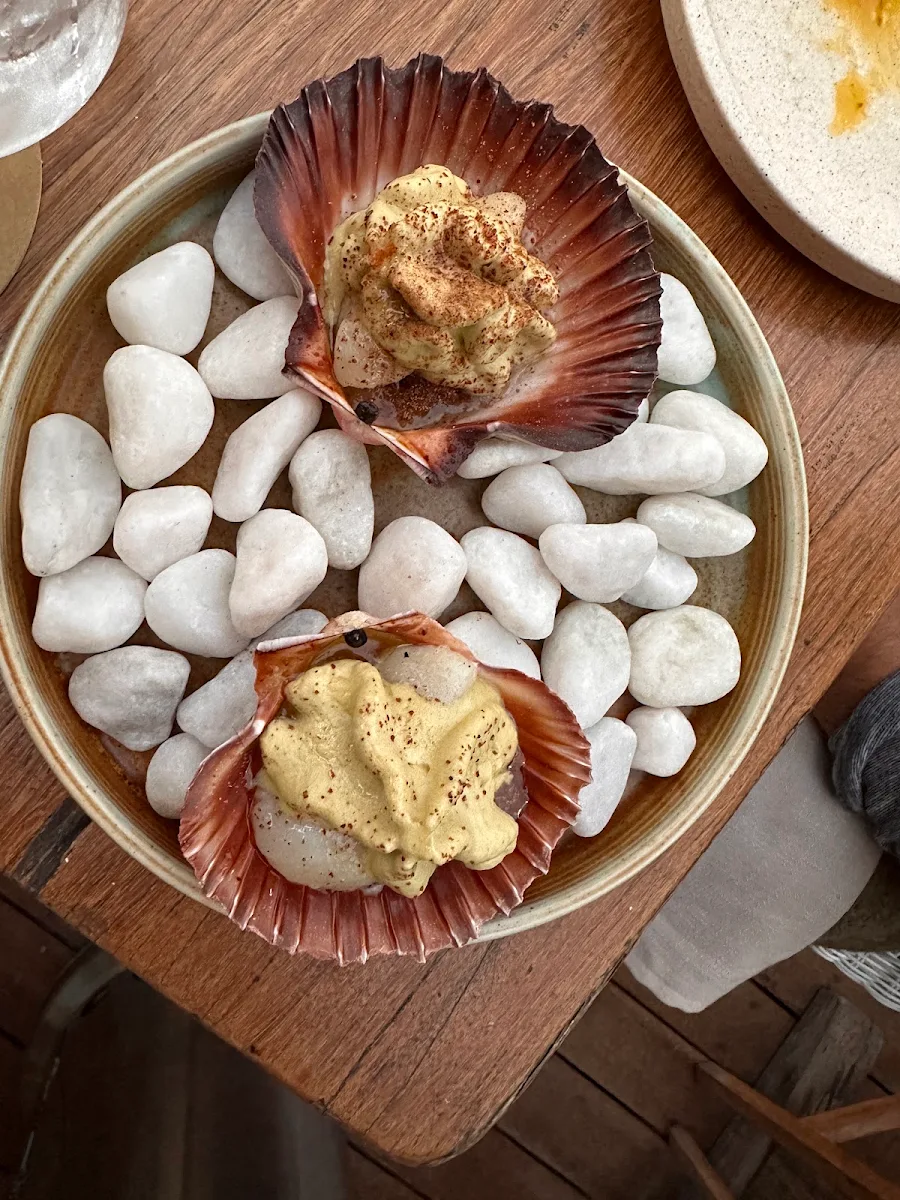 Scallops, The Mez Club