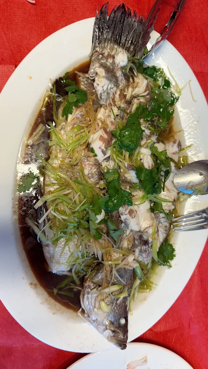 Whole Steamed Fish, Golden Island Chinese Take Away