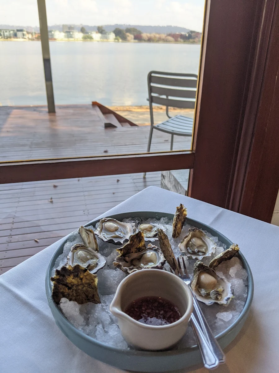 Oysters