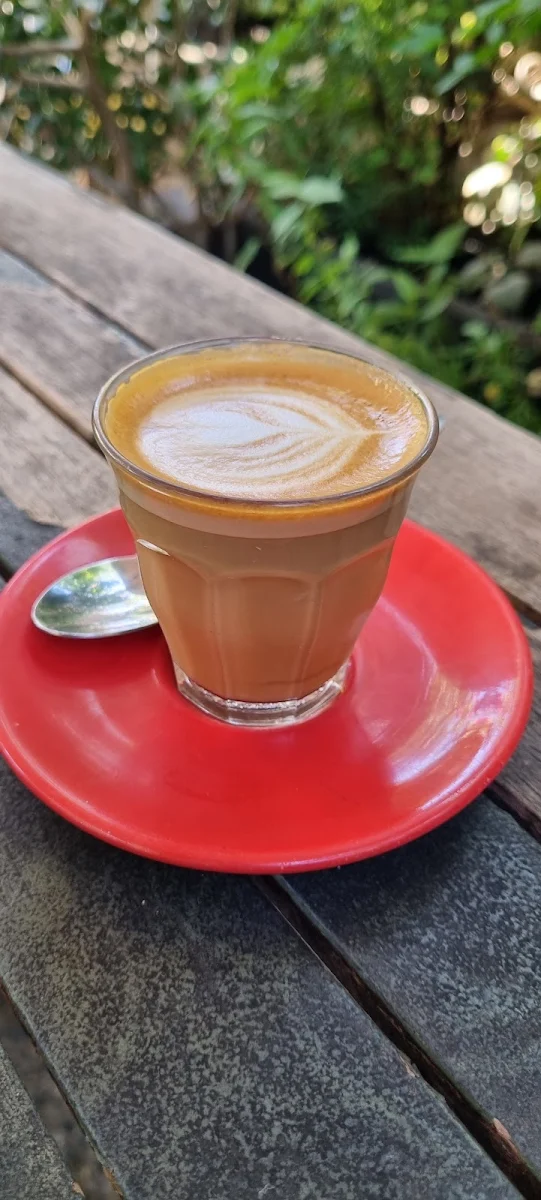 Piccolo, Botannix Studio Cafe