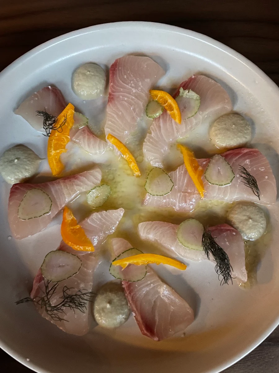 Kingfish, Motor