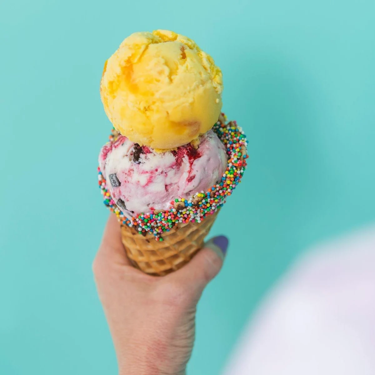 Highlights, Baskin-Robbins Springfield