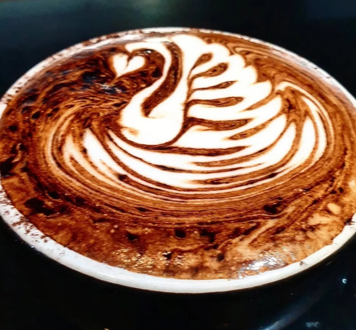 Highlights, Cafe Colores