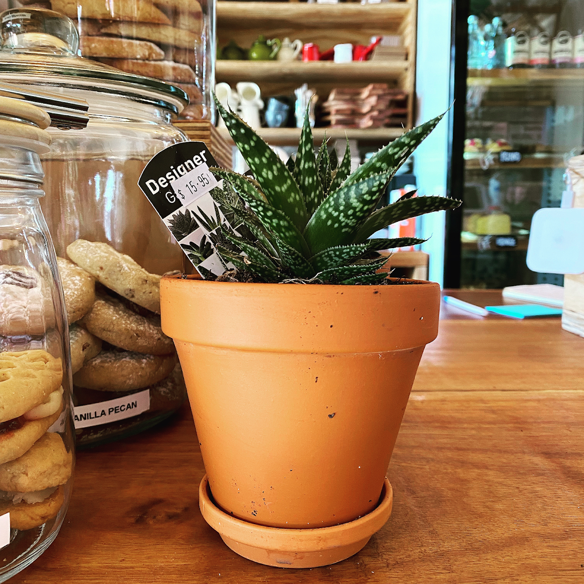 Highlights, Lydiard General Cafe & Diner