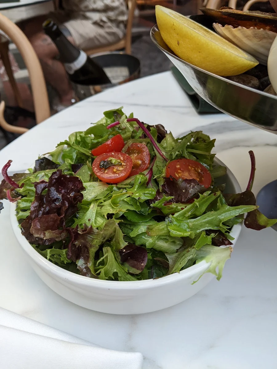 Green Salad