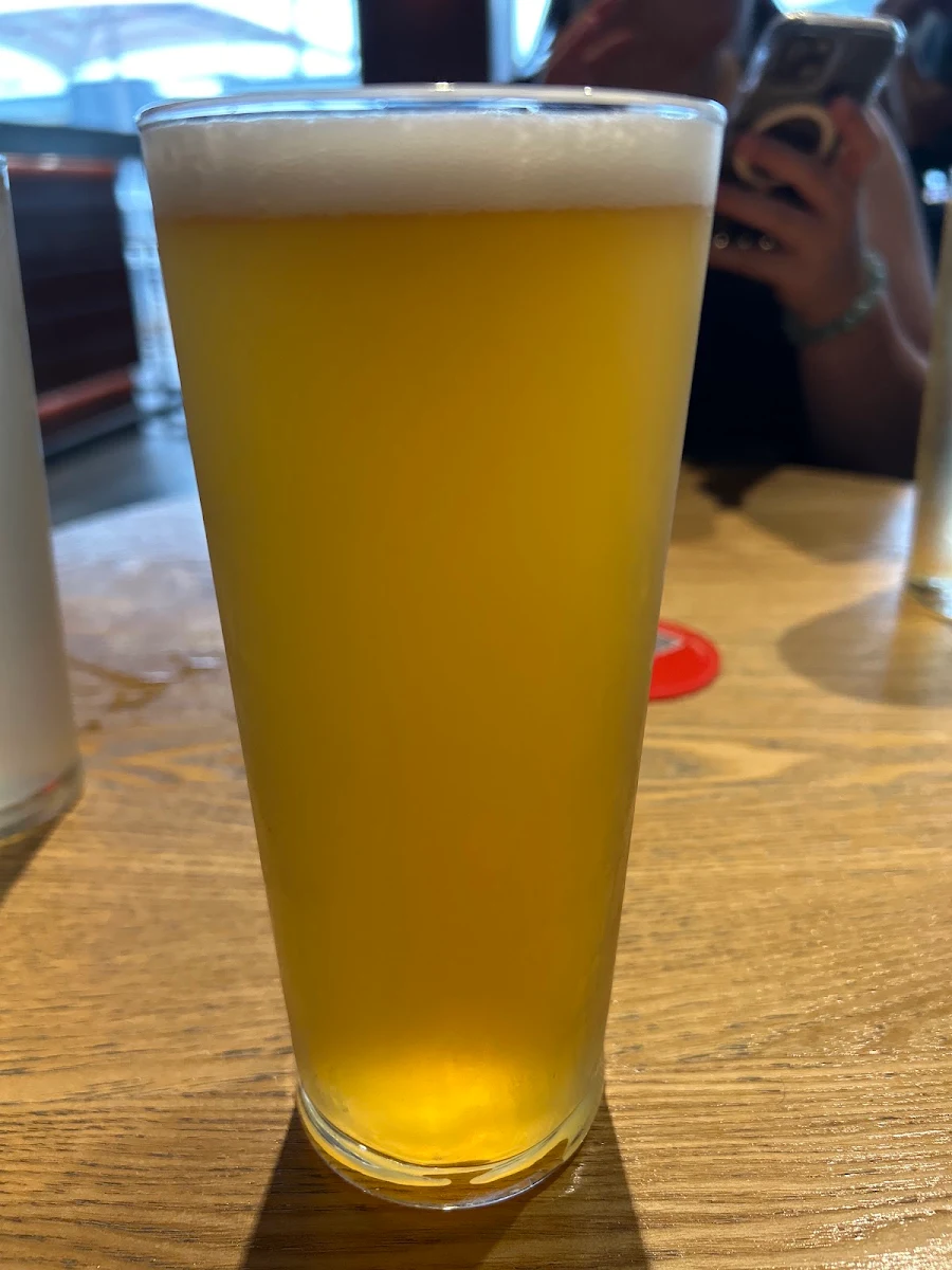 Highlights, Little Creatures Bar & Kitchen