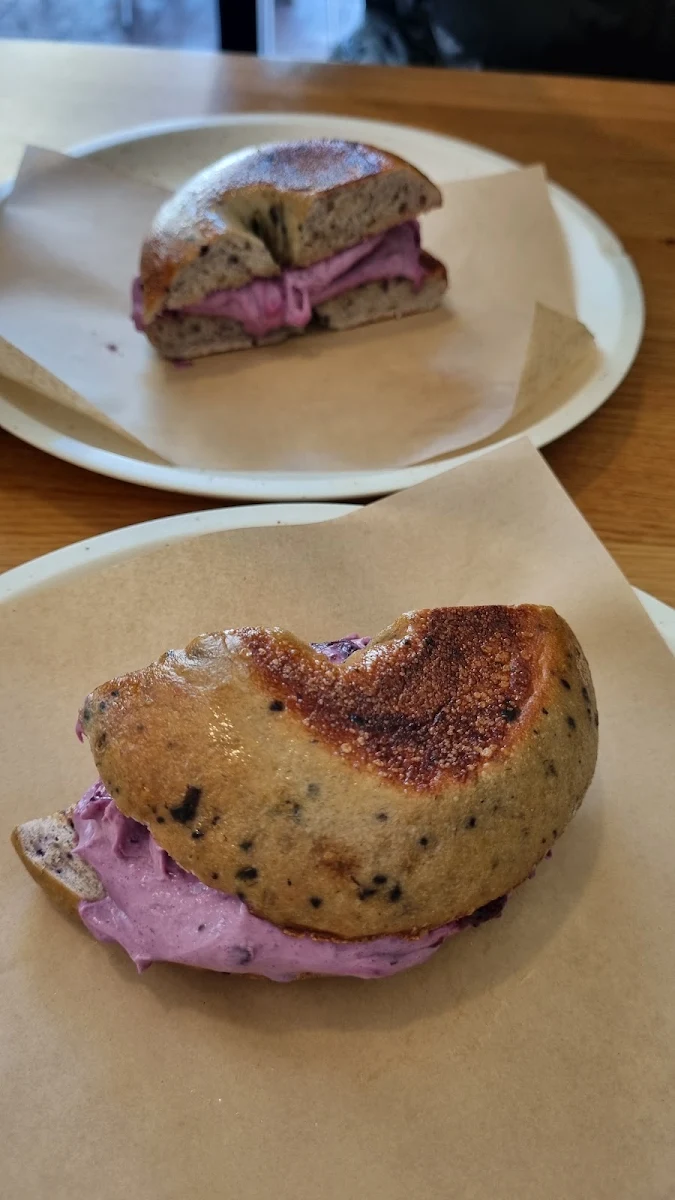 Blueberry Bagel