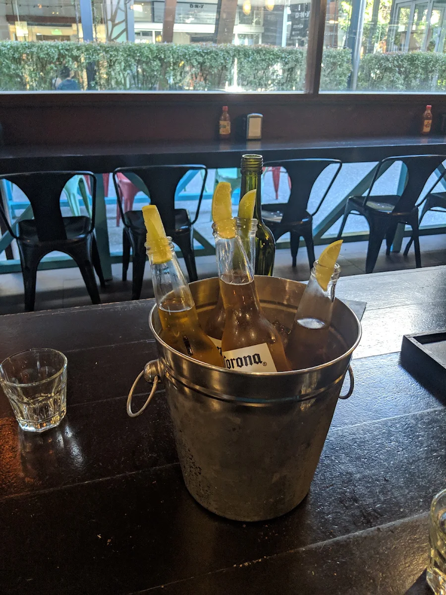 Corona Extra