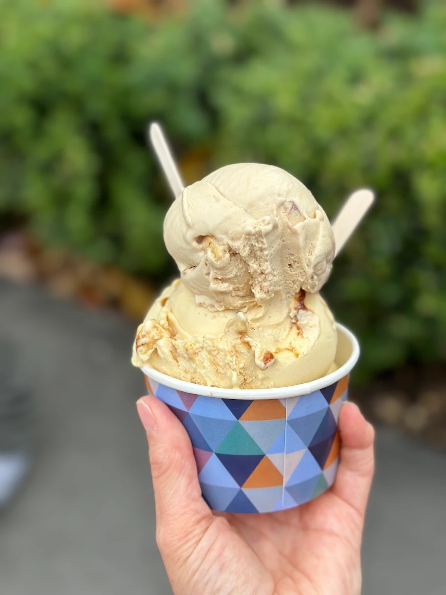 Gelato Gem