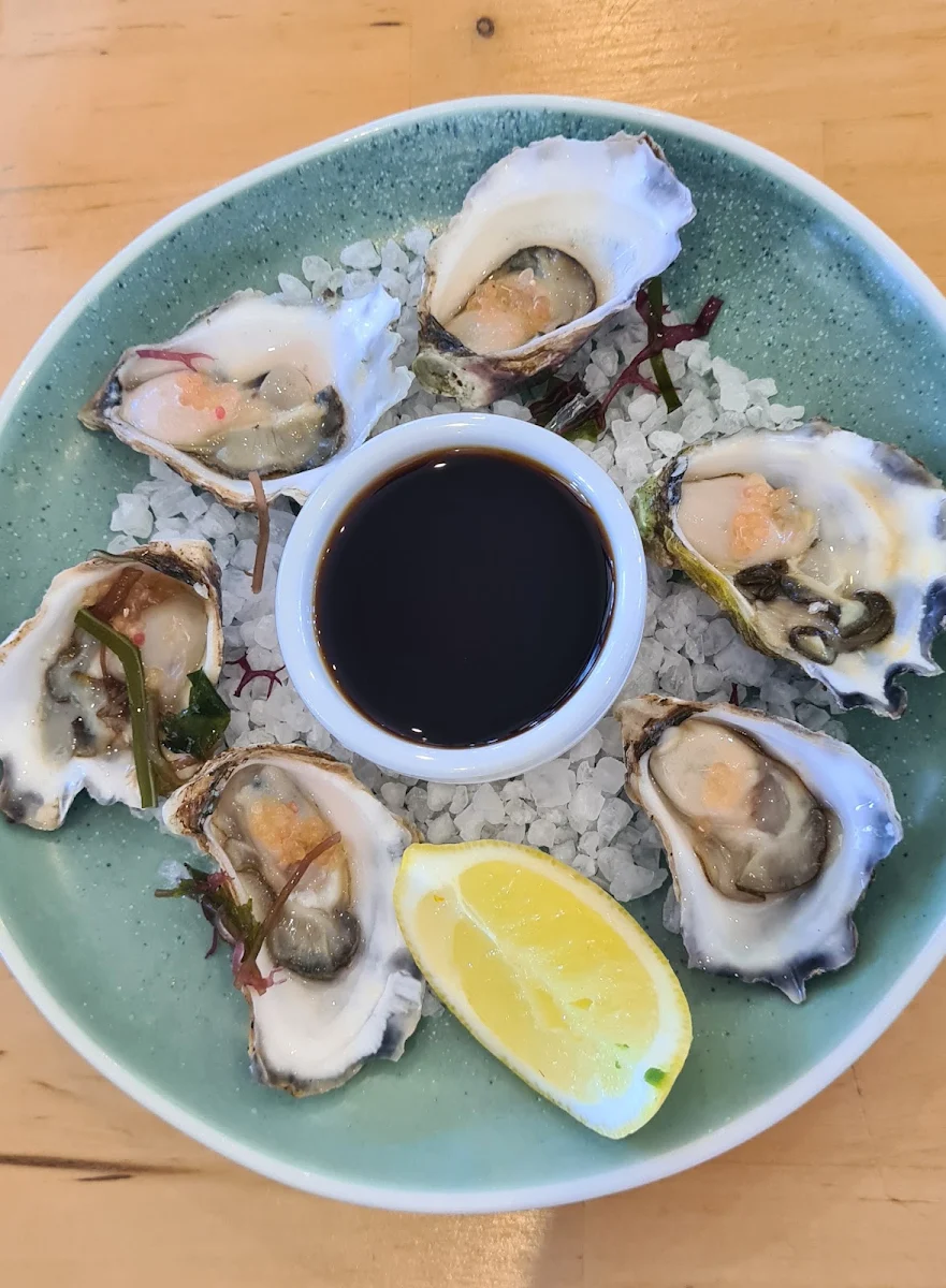 Fresh Oysters on Rock Salt with Sticky Citrus & Ginger