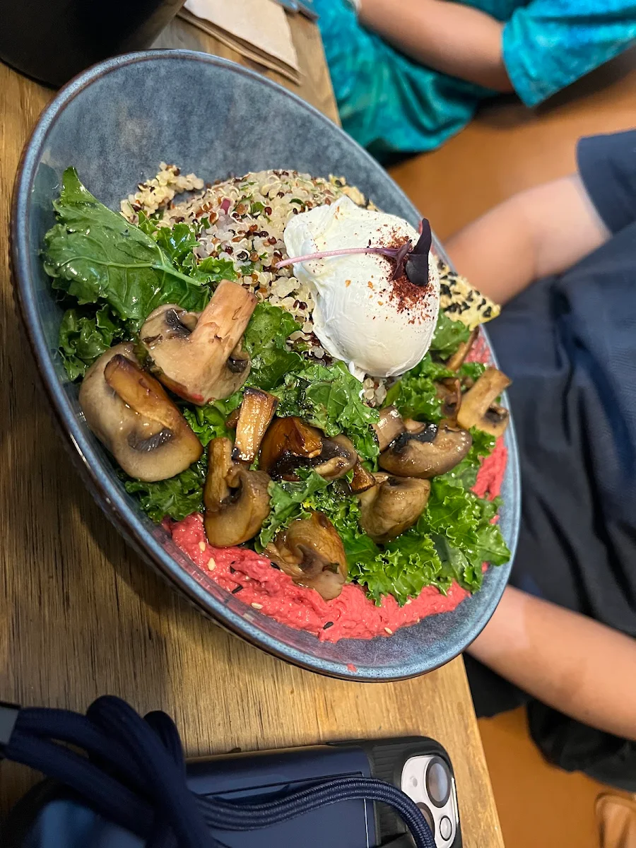 Highlights, The Foragers Wholefood Cafe