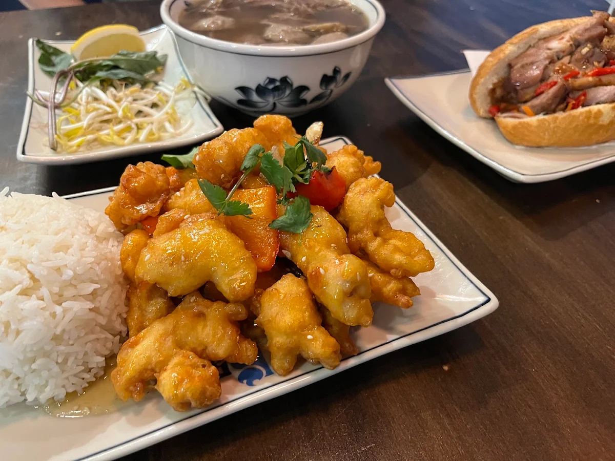 Chicken Stir Fry on Rice