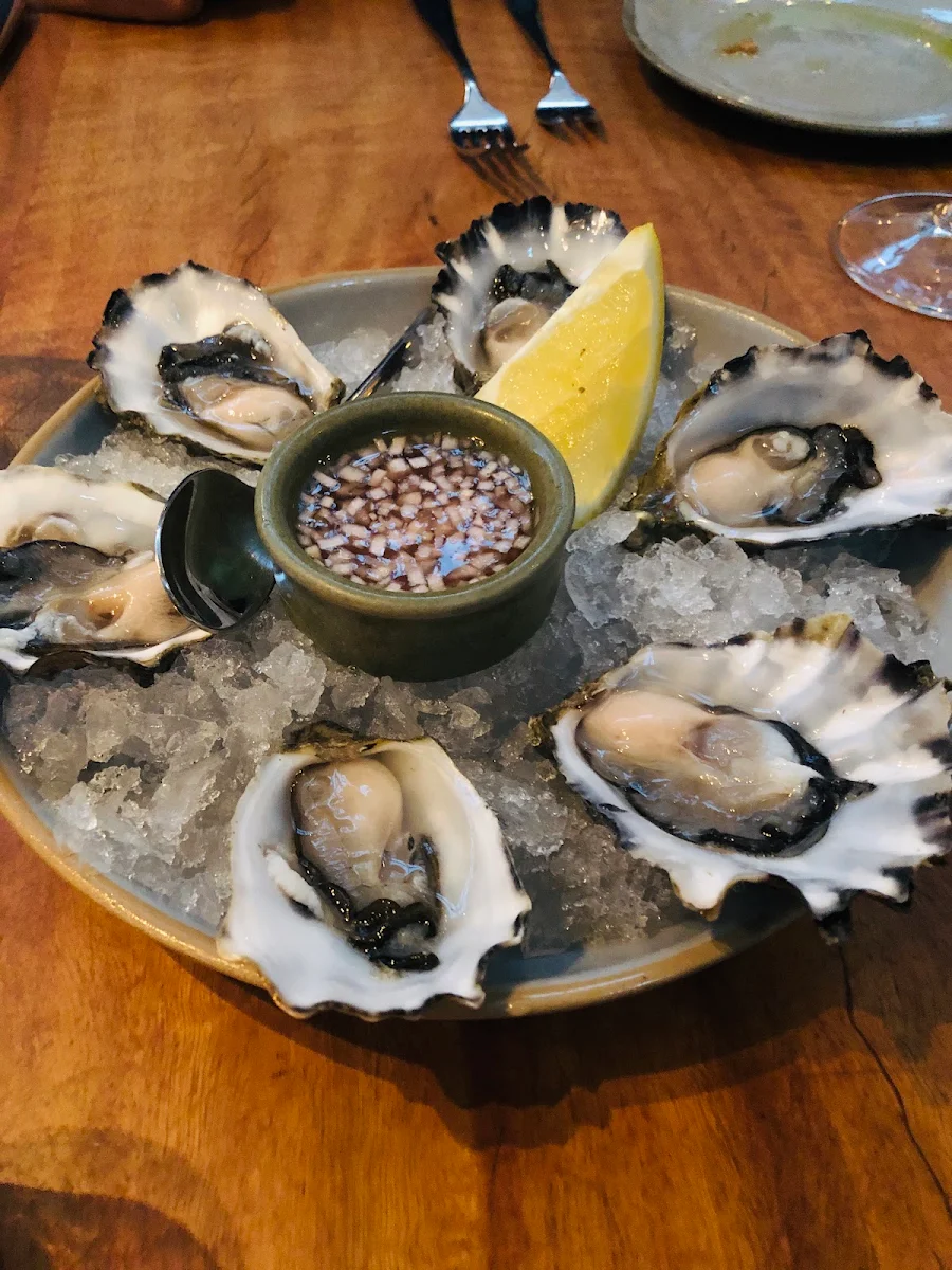Oysters