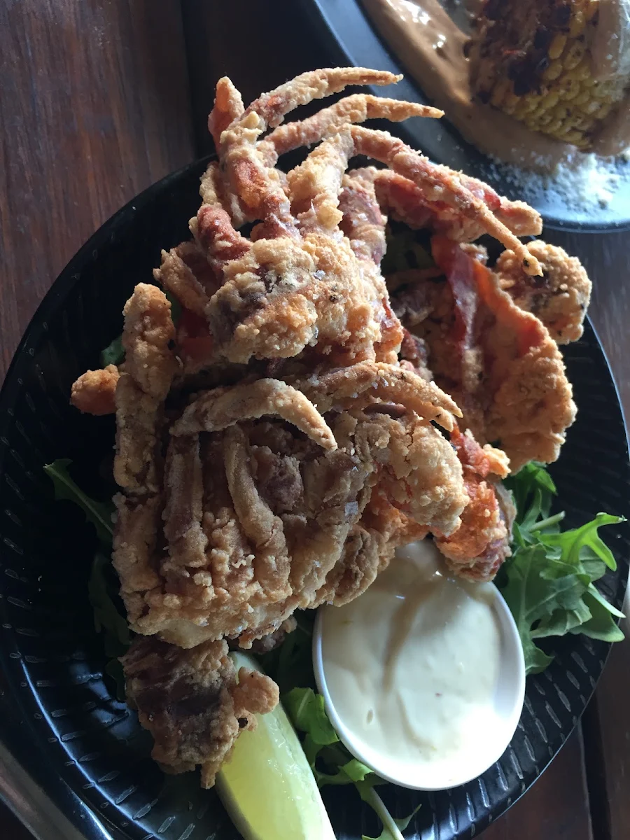 Highlights, spike bar & cafe
