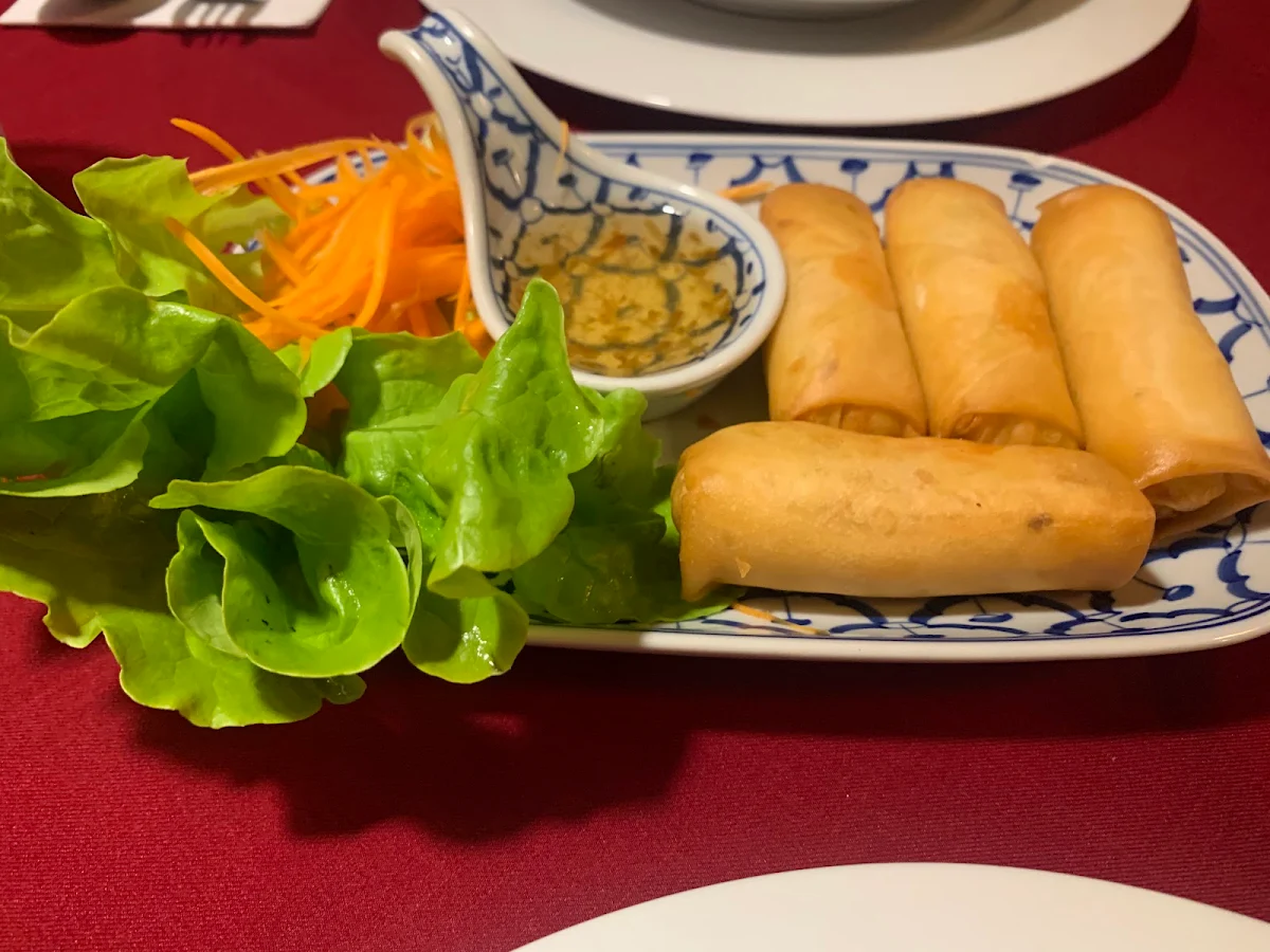 Vegetarian Spring Rolls