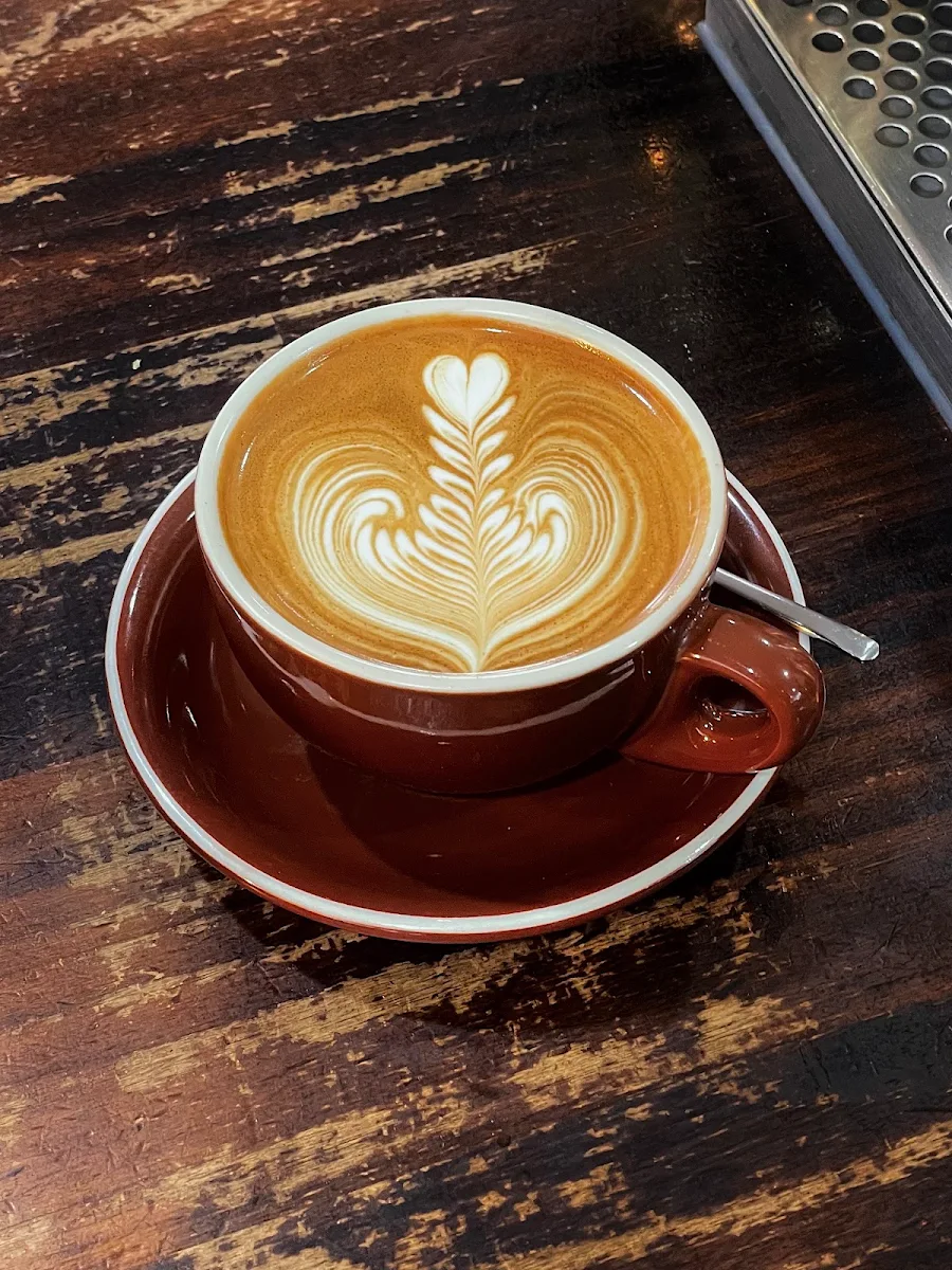 Highlights, COFFEE ROOT