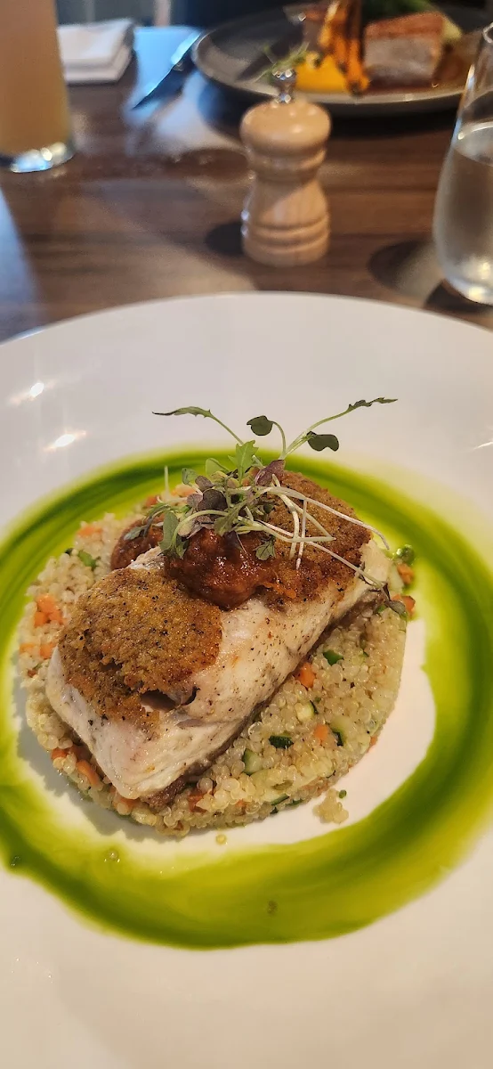 Barramundi