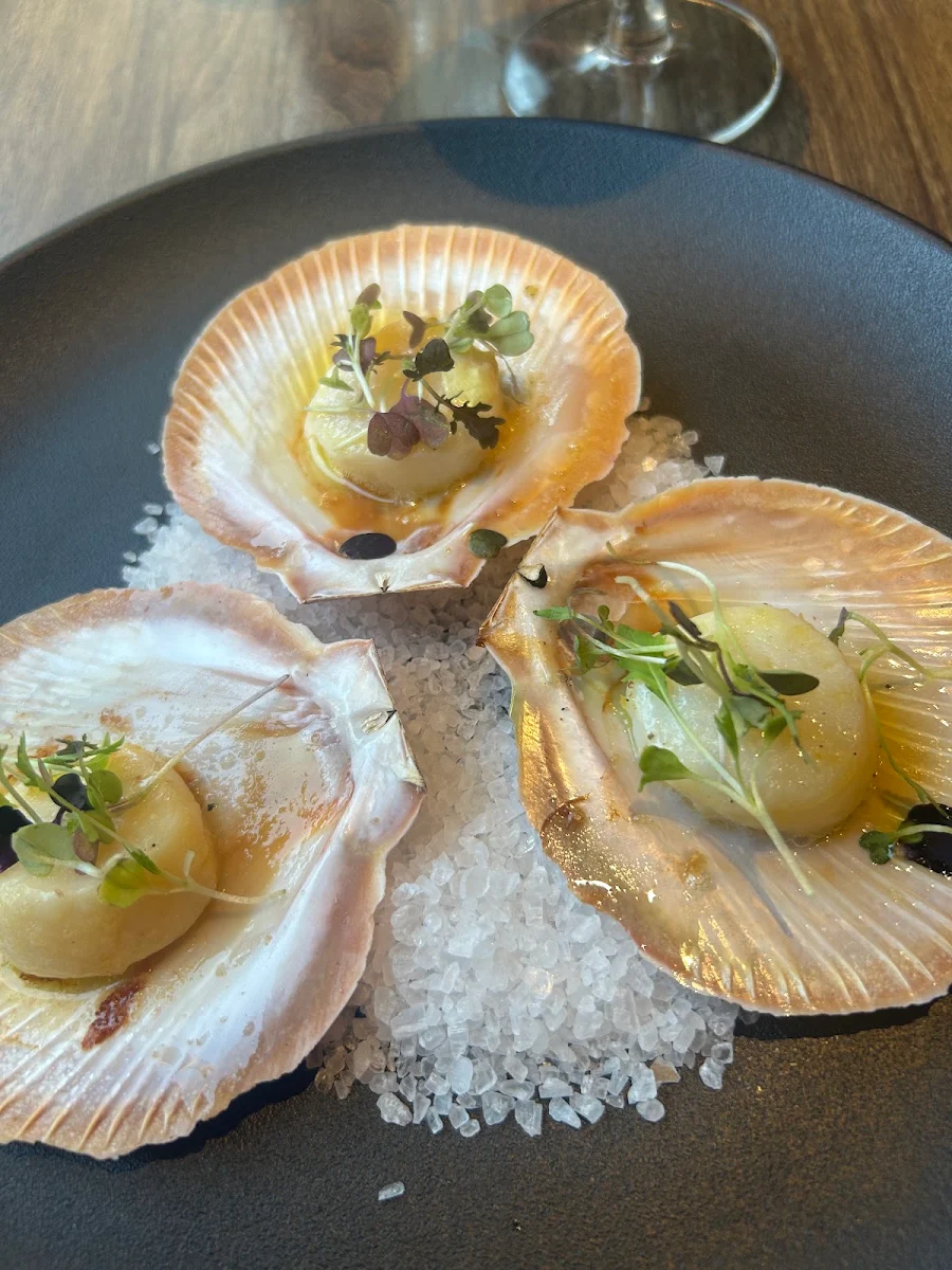 Scallops