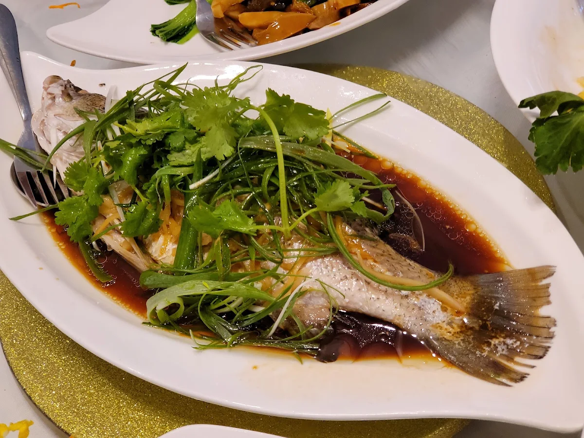 Steam Fish, Pinn's Palace