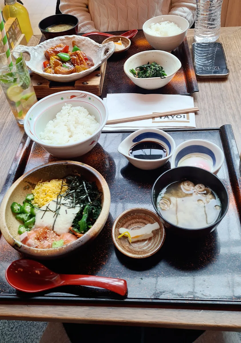 Set Udon, YAYOI Galeries