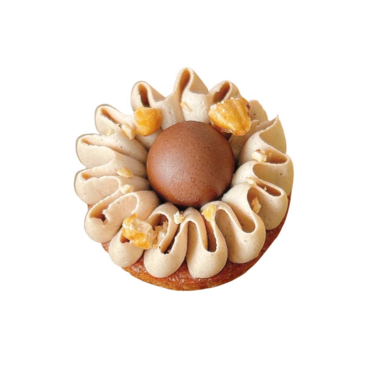 Highlights, Maison Augustine - French Patisserie & Cakes Newcastle