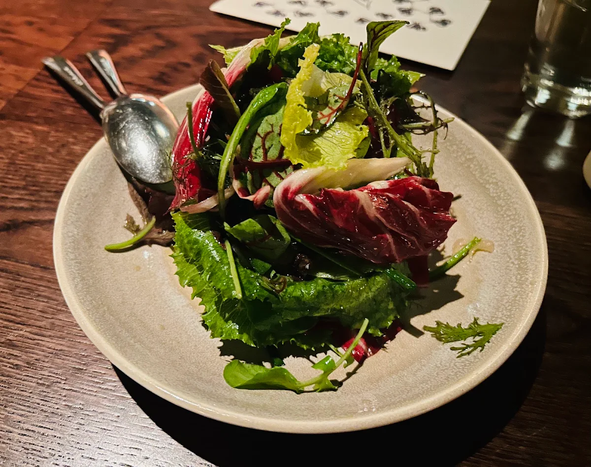 Iceberg Lettuce Green Goddess Holy Basil