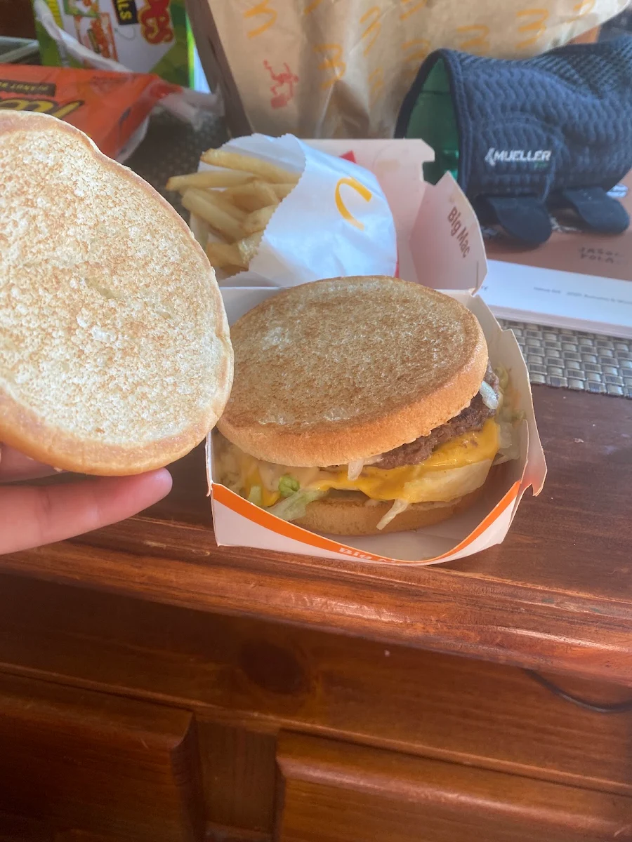 Big Mac and Cheeseburger Meal