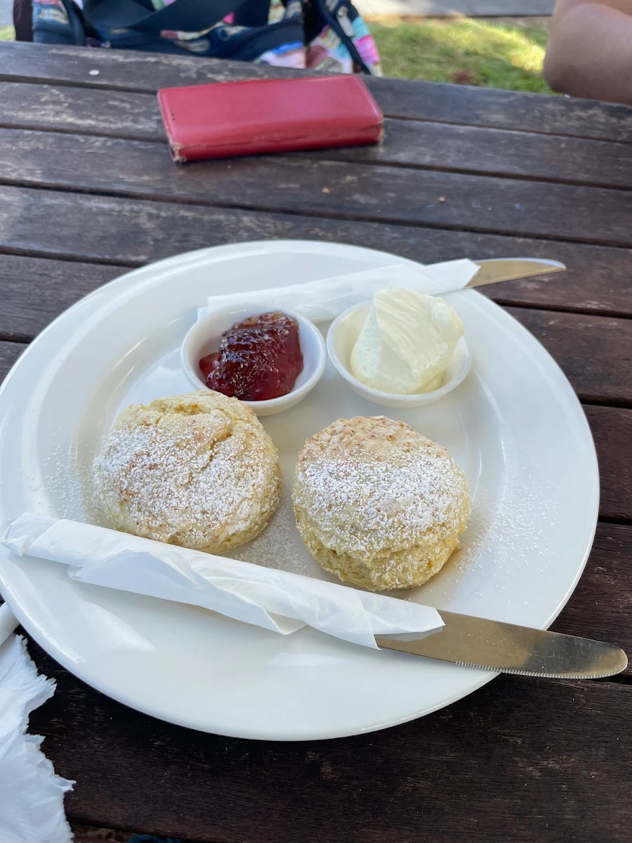 Scone, NaMoo Cafe