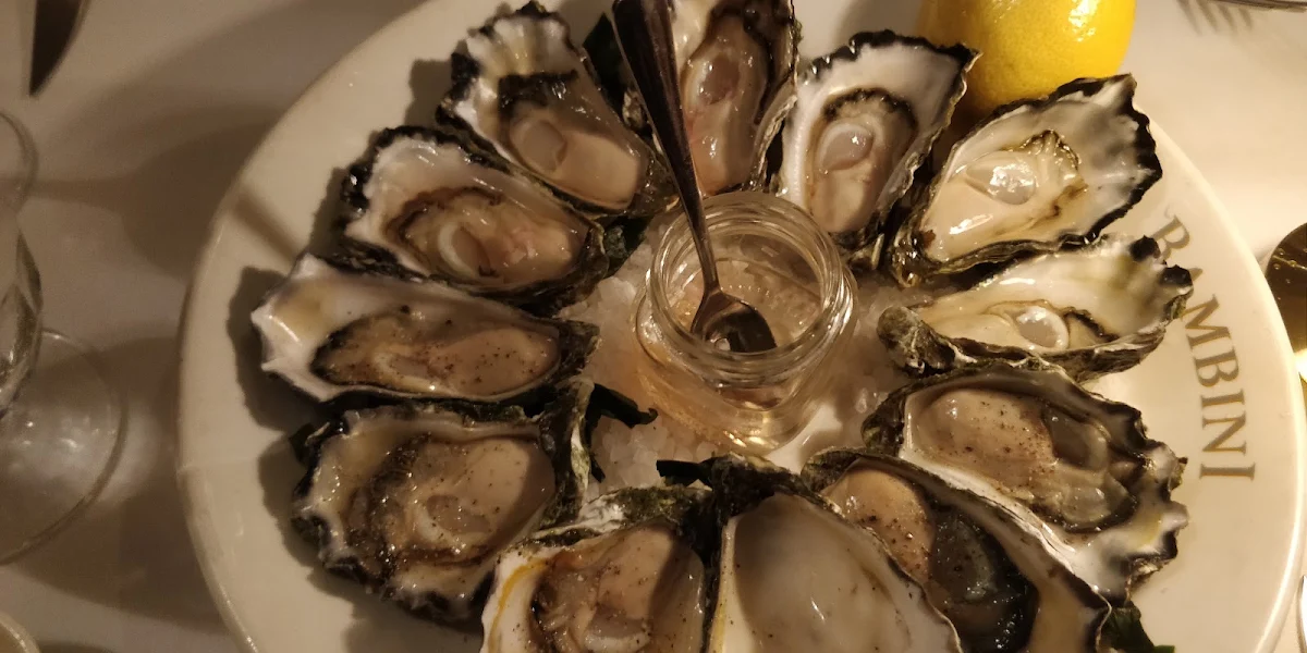 Oysters on the Half Shell
