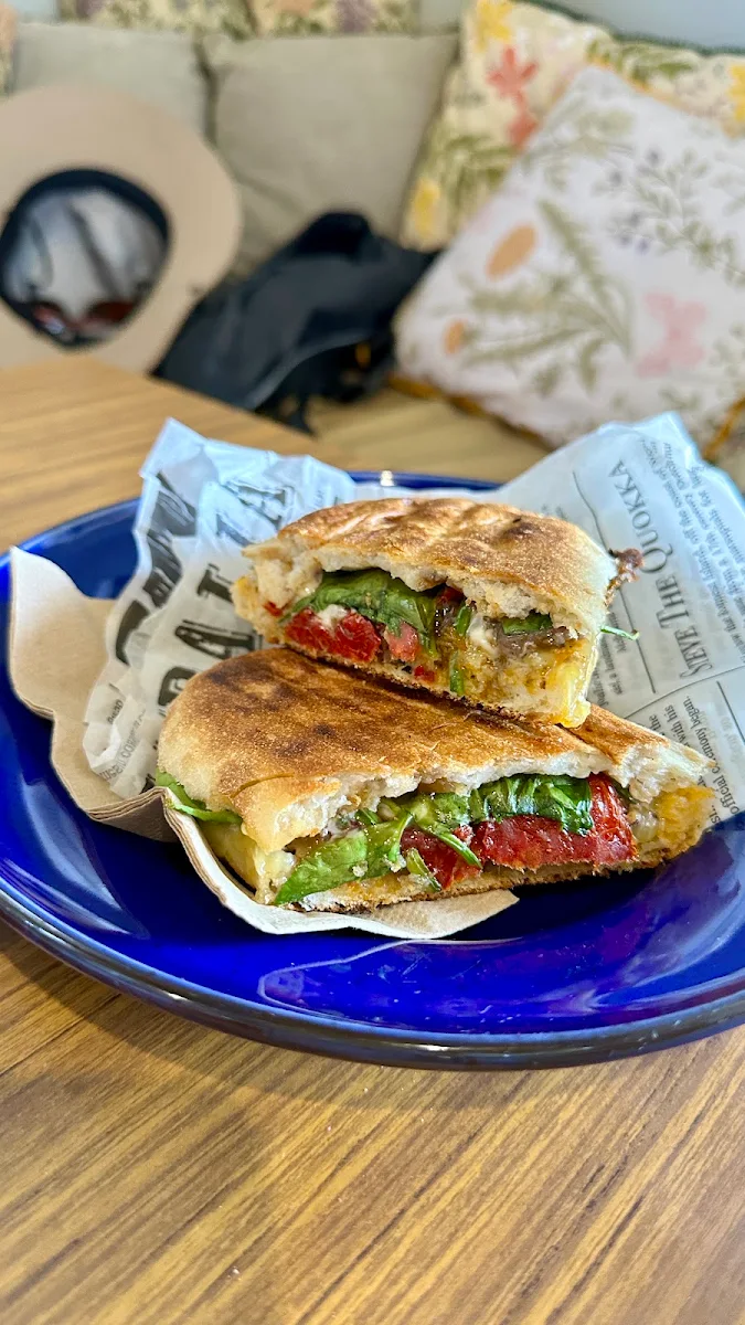 Toasted Panini