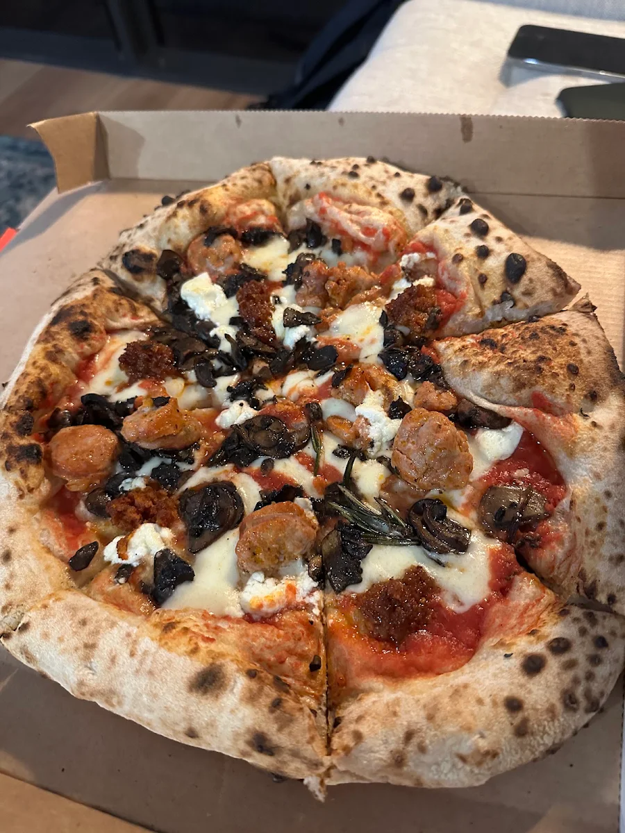 Chorizo, Suriano's