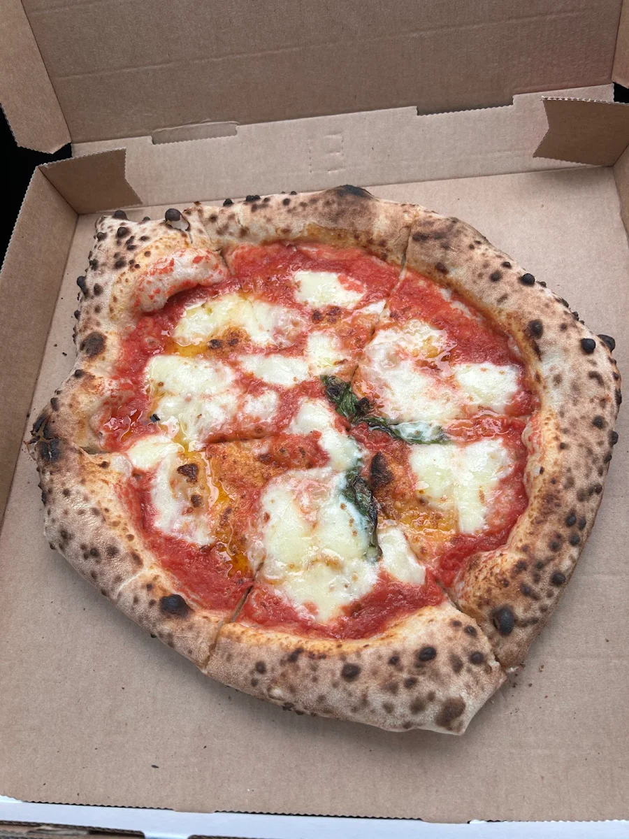 Highlights, Suriano's