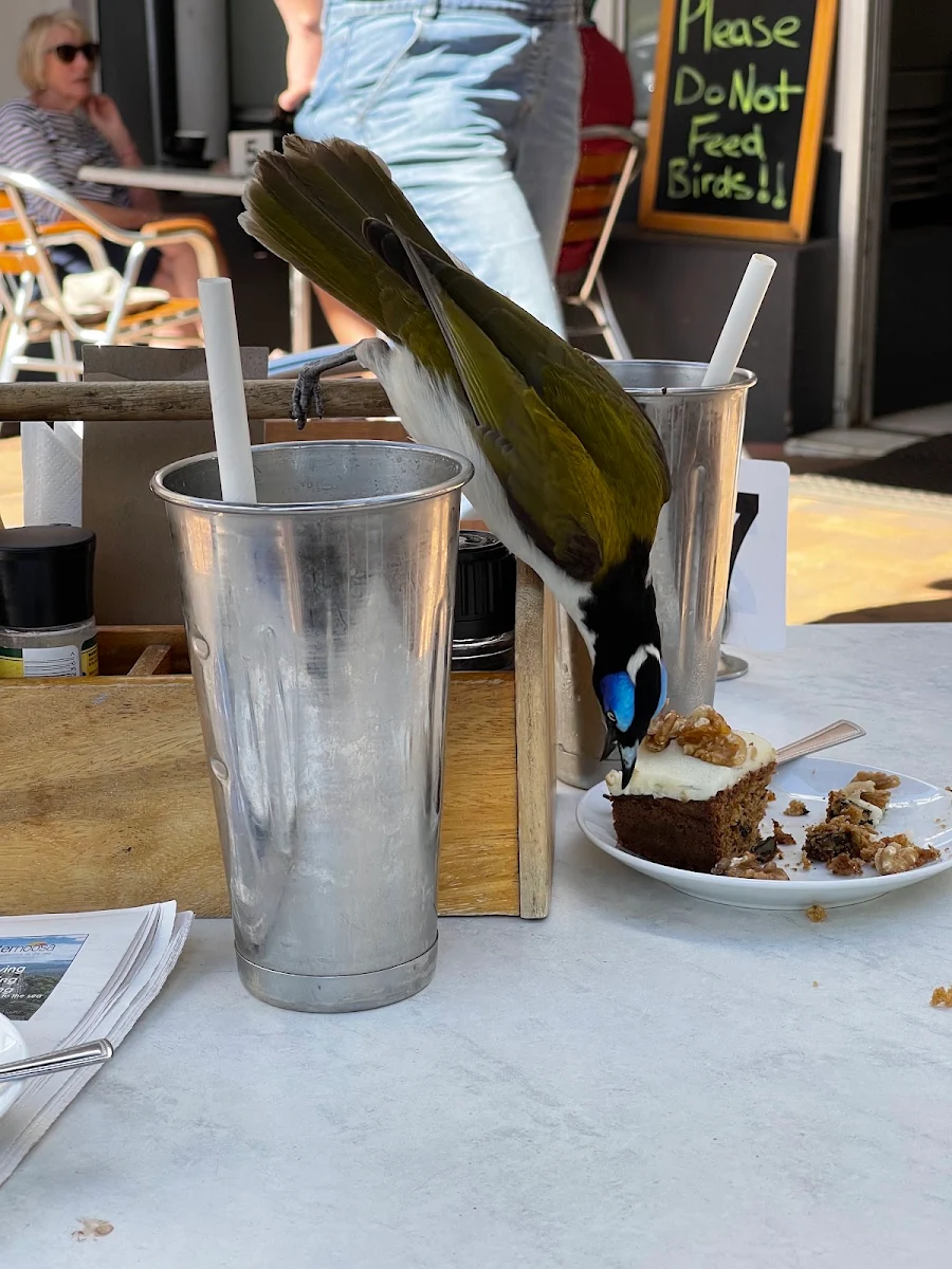 Highlights, Mountain Stop Cafe