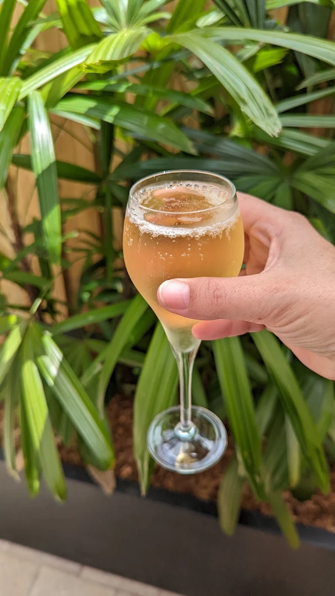 Champagne, Crown Hotel