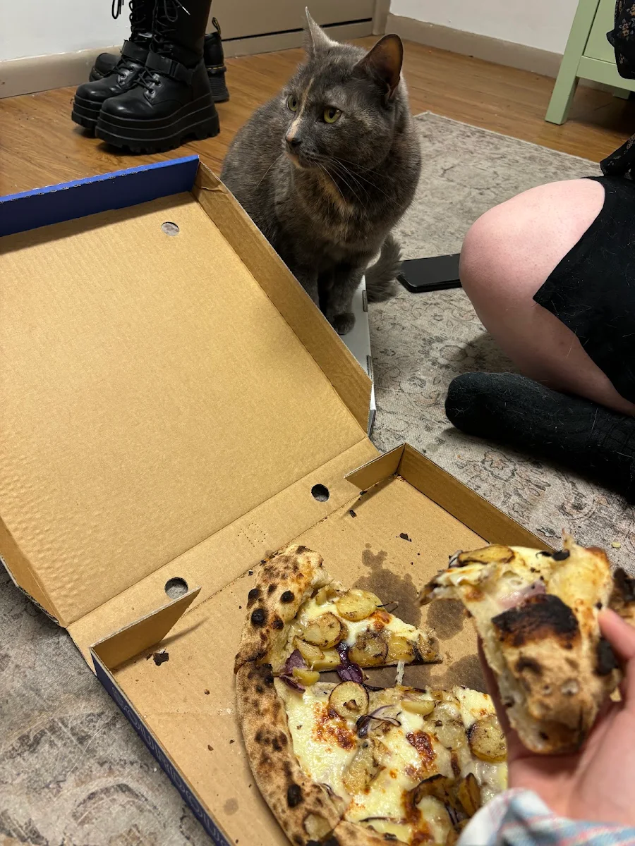 Highlights, St Albert's Pizzeria - Mont Albert